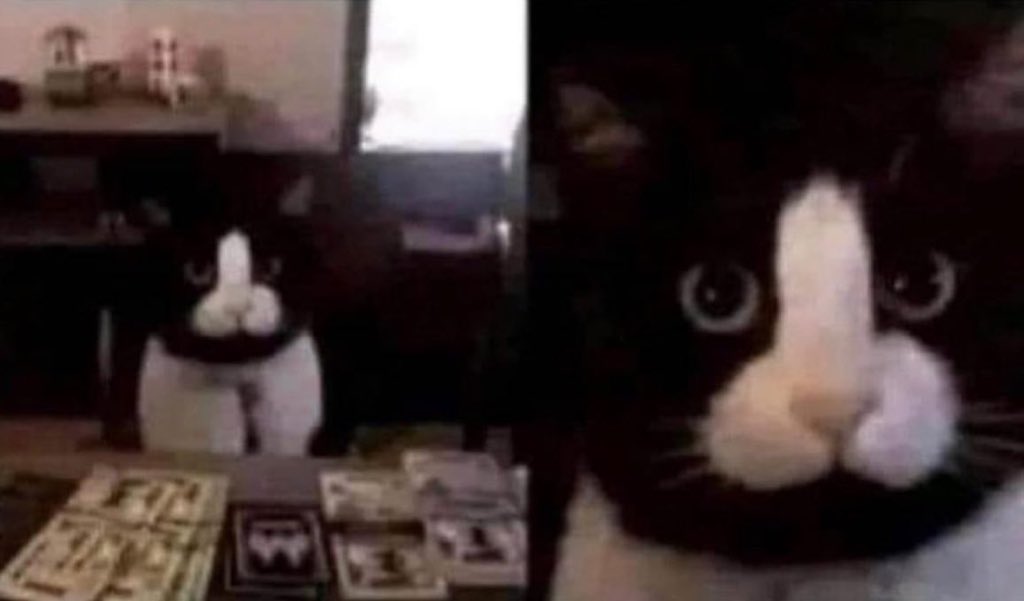 Intrapiernoso tweet media