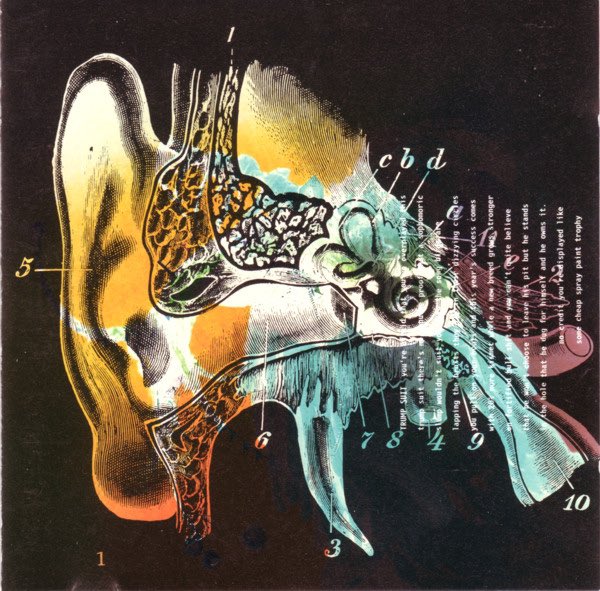 Daversphere's tweet image. #23Daysof4AD

Day 4

Liquorice - Listening Cap
youtu.be/21haqIHpVqU
Great album!!! Underrated to say the least!!!