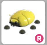 onlyyzyy's tweet photo. Adopt Me Golden Pets Giveaway! One winner will receive:
~ 1 Ride Gold Scarab 
~ 1 Golden Dragon + Gold Griffen
~ 1 King bee
[-Rules-]
- Like 👍
- Follow ✅
- Retweet ♻️
(Extras in thread, ends 9th of June!)
| #ROBLOX | #giveaway | #adoptme | #trading |
best of luck to you all <3 https://t.co/H9deKVWw6l