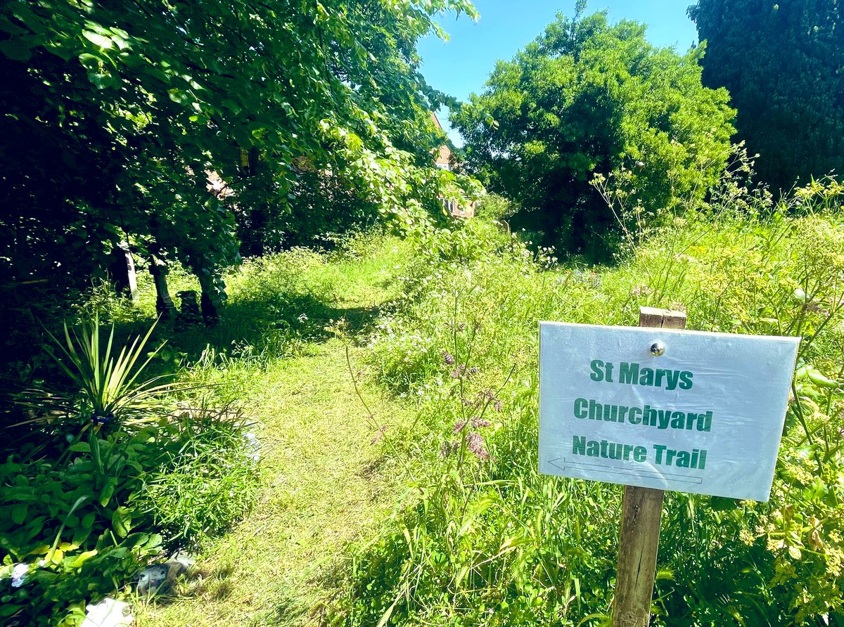 What glorious weather to celebrate the start of ‘Love Your Burial Ground Week’. Join us Wed 7th June 2-4pm for a nature trail, nature survey & refreshments and again on Sunday 11th after the Family Service #LoveYourBurialGroundWeek 
#ChurchesCountOnNature @godsacre @ARochaUK