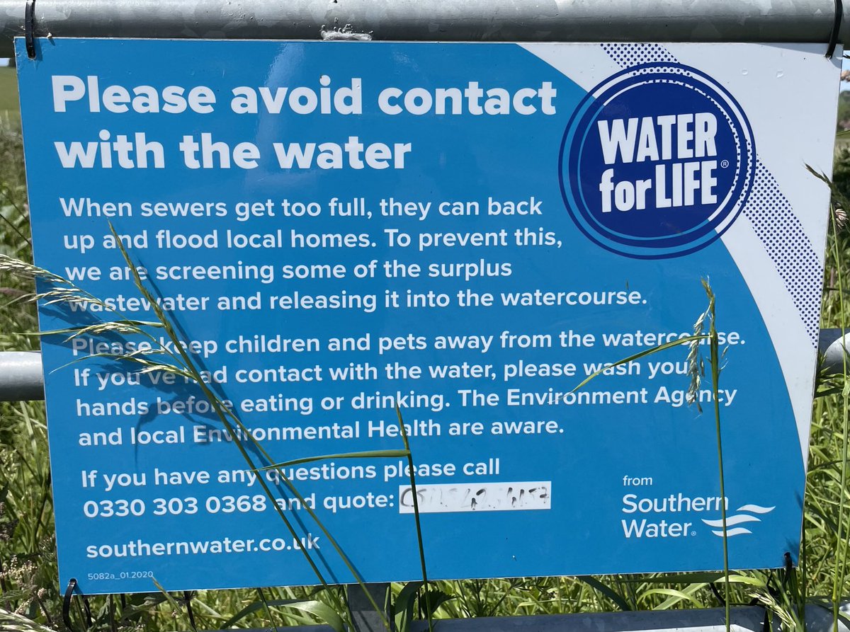 WorthingCAN 🌍 on Twitter: "Mother duck with six little ducklings in the