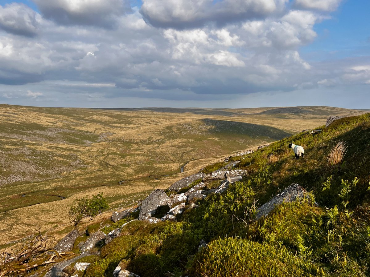 placesense's tweet image. Added a new one to the Climate Run blog -- Radical relationality climaterun.org/2023/06/04/rad…