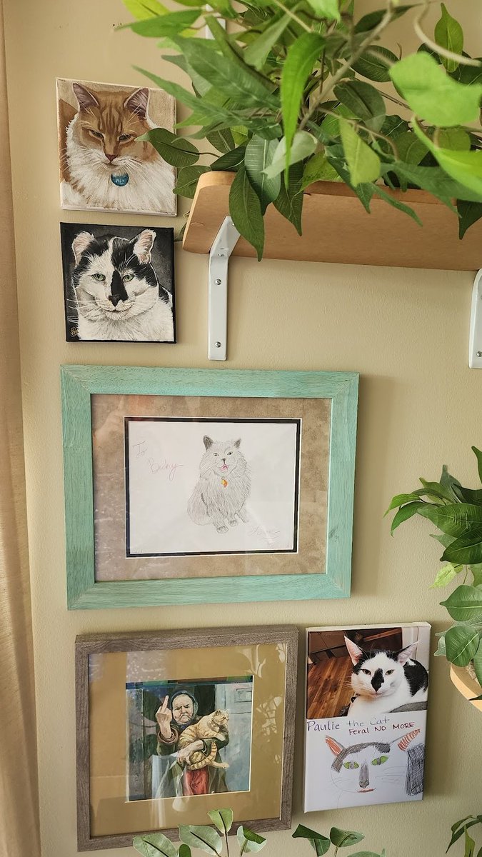 beckbjj's tweet photo. Hung the absolutely gorgeous paintings of Quincy & Senior today that I got from @Chewy and they look fantastic in our cat loft/art gallery. Almost the entire Big Dumb Boys Club on this wall, just need to add Indy.
#cats #CatsOfTwitter #Chewy #ChewyBox #ChewyDelivery #ChewyBoxLove https://t.co/SQ7zPwn0nH