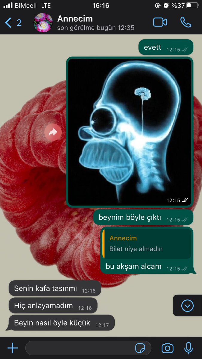 bişi bişi (@underjasmintree) on Twitter photo 