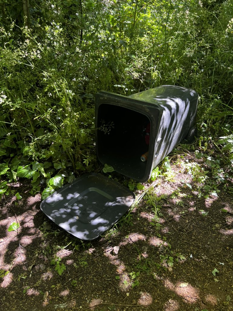 StreathamGirl's tweet photo. @lambeth_council @LambethMPS walking through the Eardley road sidings nature reserve and sad to see these bins one which the rubbish has been set on fire ☹️ https://t.co/iaUJfBvnz9