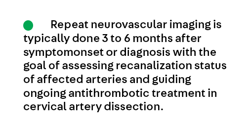 Bonus Key Point 5 from the article Cervical Artery Dissection by Dr. Setareh Salehi Omran (@SetarehOmranMD), which is available to subscribers at continpub.com/CervArtDis #neurology #MedEd #NeuroTwitter