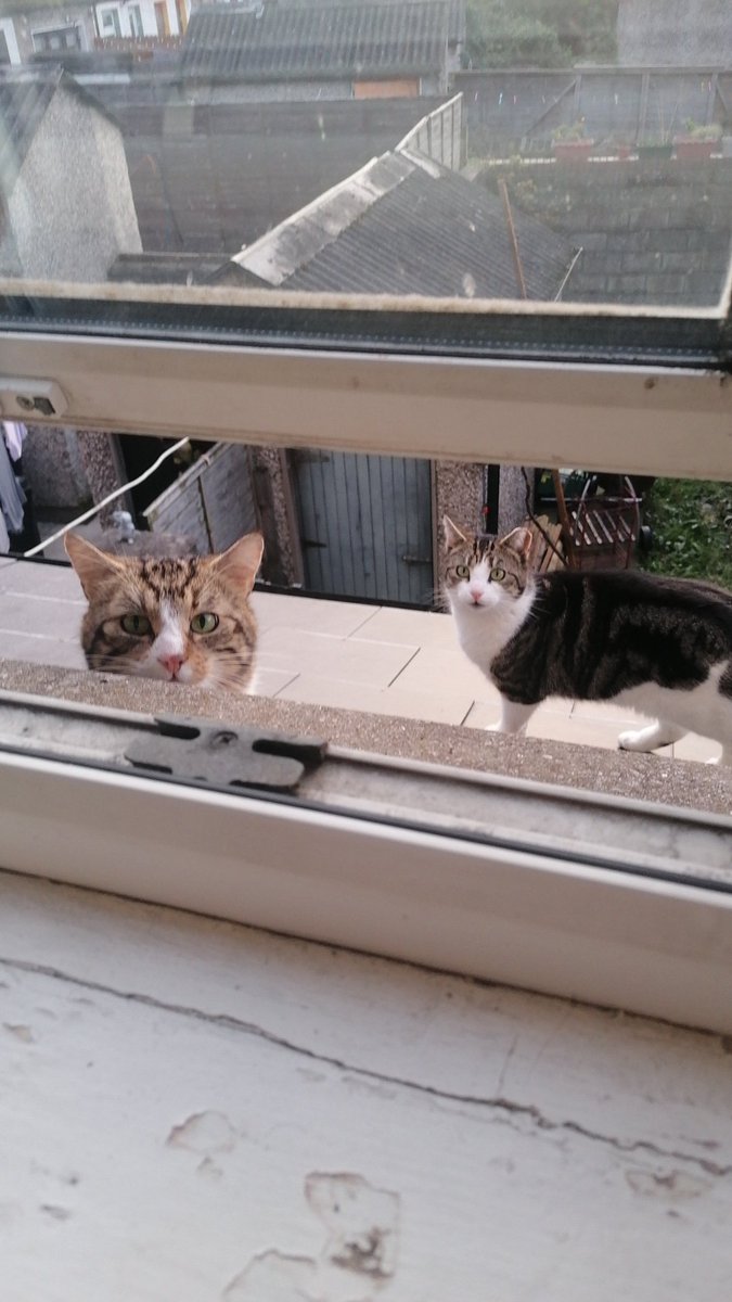 My internship in Ireland in 4 pictures!