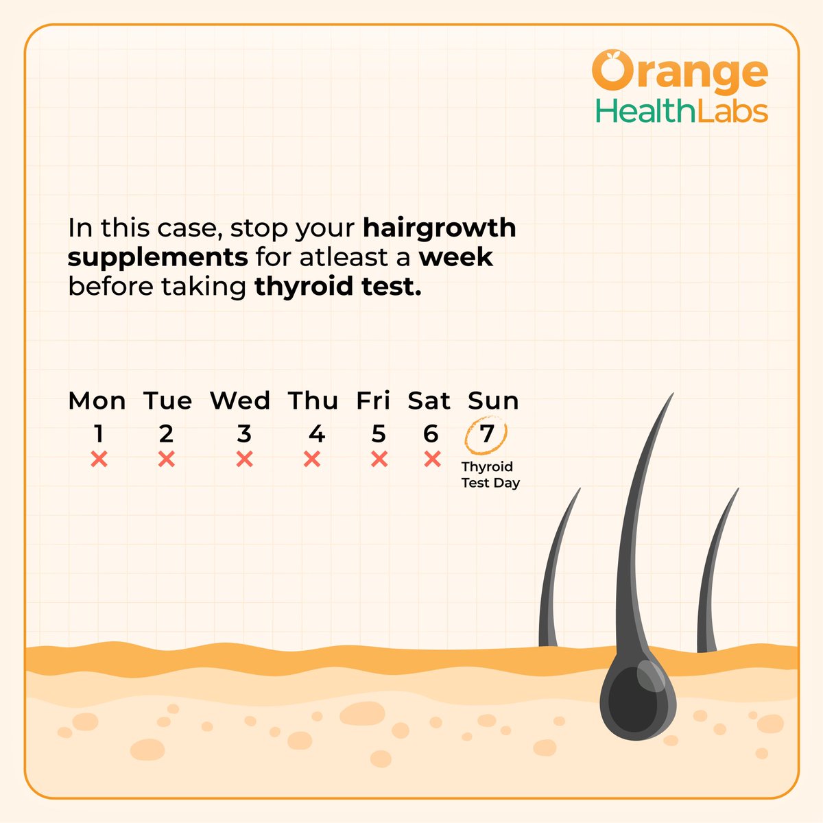 OrangeHealth_'s tweet photo. Hairgrowth supplements can interfere with your #thyroid test report. Read more β¦ #fastestdiagnosticlab #orangehealthlab #bloodtestindia https://t.co/SfN0myOU37