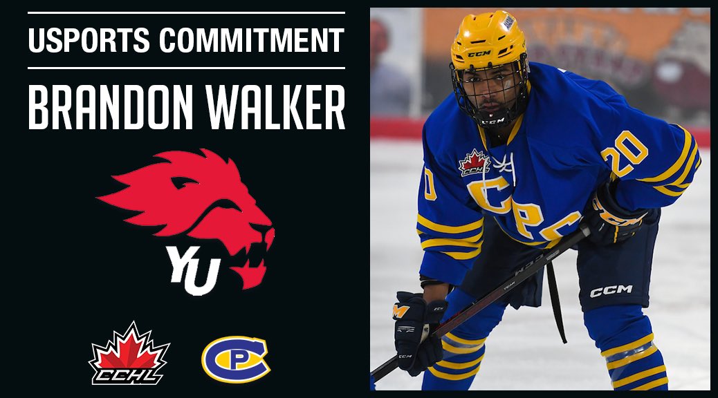 TheCCHL's tweet photo. Commitment Alert 🚨 
@CPCANADIANS 2002 D Brandon Walker has committed to @USPORTSca @yorklionshockey for the 2023-24 season.

📷 https://t.co/ijdDBvZ7QI
Graphic | Mark Kelly

🗞️ | https://t.co/UZJ9a9MJF1 https://t.co/dGN8rlztBN