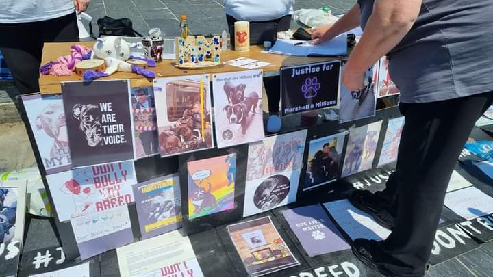 MelissaJane139's tweet photo. Cardiff 💗
#justiceformarshallandmillions https://t.co/DlixGo7ZhP