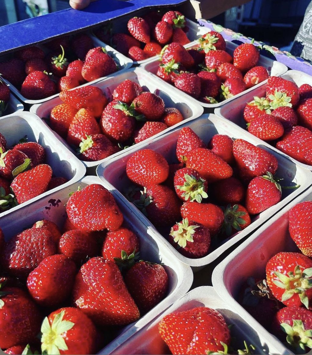 YegdtMarket's tweet photo. Missed us yesterday? Berries! And so much more. We’re open from 11-3 today, Sunday. Free parking! Swing through the market and head a block west to Churchill Square to check out the fab #DTspark installation. #yegdt #yegfood https://t.co/RjEAZJSqh8