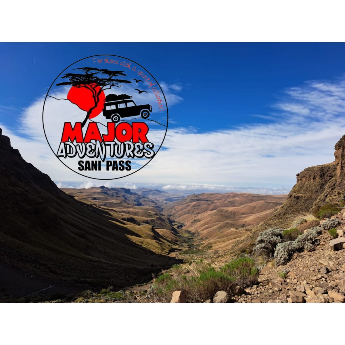 Major Adventures tweet media