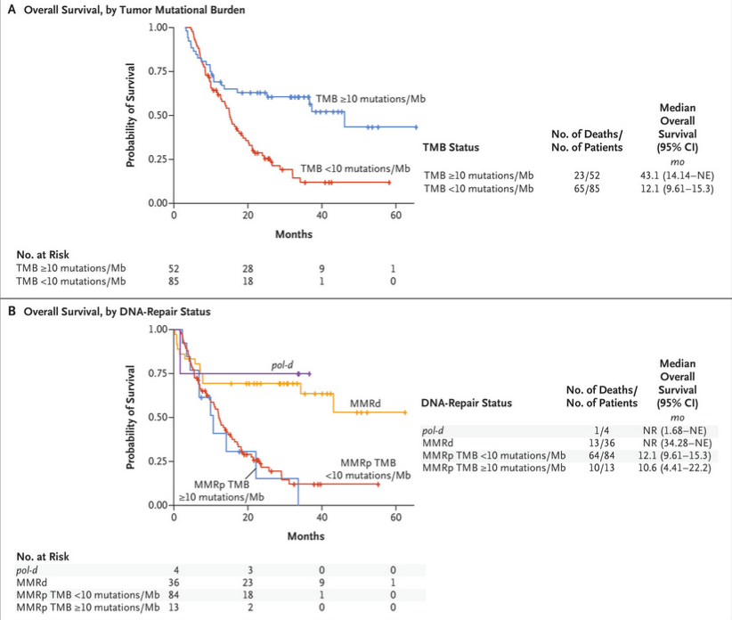 marklewismd's tweet photo. I've thought about this @nejm paper for years, and just again at #ASCO23 

Yes, it's a single-institution analysis but I think @MSKCancerCenter showed provocatively why we shouldn't rush to embrace TMB > 10 as a histology-agnostic marker of IO benefit

https://t.co/Rfz1gdRZCa https://t.co/VBT2Z2DmM9