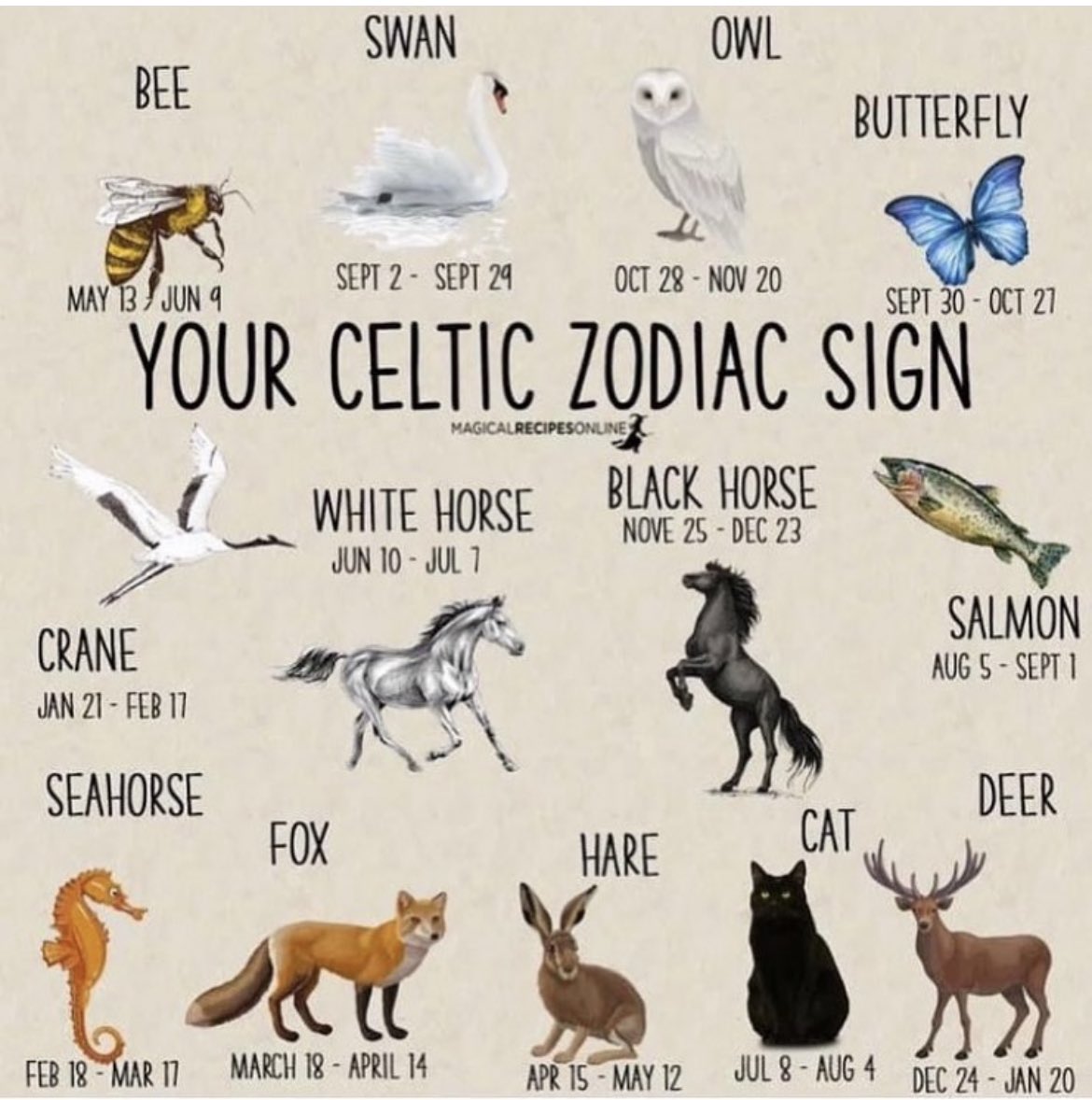 celticfoxy's tweet photo. I’m the Celtic Fox - whats yours?! 🦊🦊🦊 https://t.co/6Uz3Th9tud