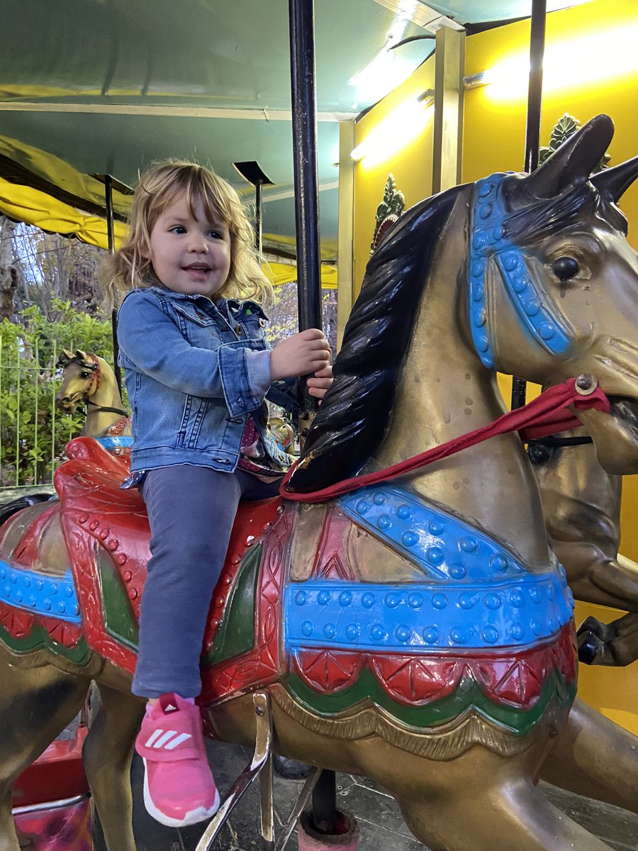 Fernanda Testoni (@fertestoni) on Twitter photo 