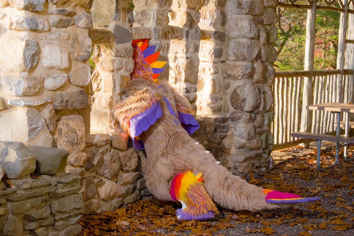 Comet is 7 years old today. They're the age of a small feral child.

Thanks for helping me meet my wife and several amazing friends you Disaster dinosaur
 #MyTwitterAnniversary