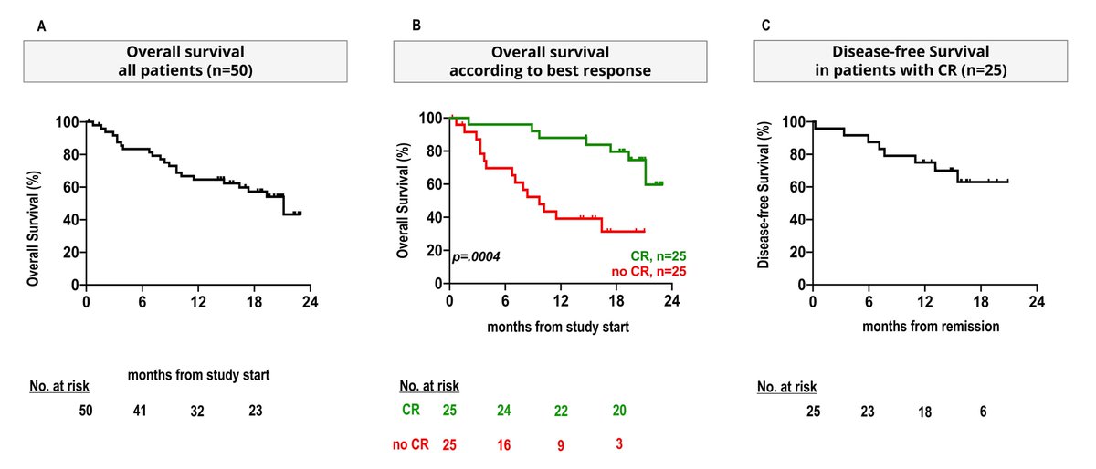 Azacitidine, lenalidomide and DLI for relapse of #MDS, #AML and #CMML after allogeneic transplant: the Azalena-Trial
@KrogerNicolaus @Haematologica #leusm #MDSsm #MPNsm 
MDS(n=24), AML(n=23), CMML (n=3)
ORR 56%, 50% CR (80% durable)
mOS 21mo, 1-yr OS 65%
haematologica.org/article/view/h…