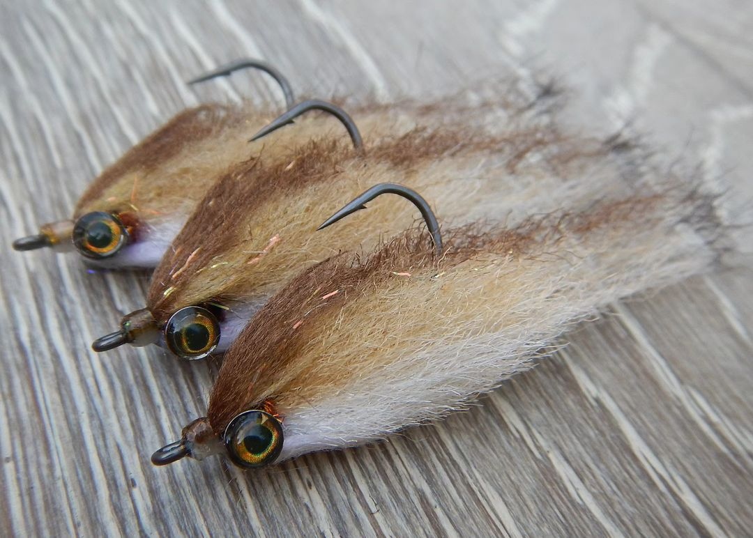 'Final Product Baitfish in Tan' // tie and image by Efon Manriquez @ucangler
•
•
•
•
#flytying #flyfishing #bassonthefly #warmwaterflyfishing #saltwaterfishing #baitfishflies #clouserminnow #bassfishing #baitfishfly #shad #shadfly #bucketmouth #fishing #largemouthbass