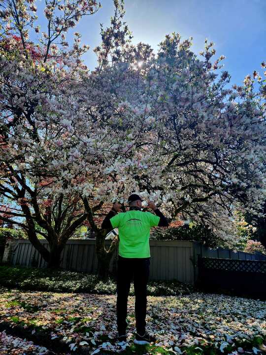 Who says cleaning can't be an adventure? Javier from Umbrella Property Services is here to show you that even while on the job, you can still enjoy the beauty of nature! 

#edgemontvillage #beauty #nature #naturelovers  #umbrellaservices #vancouver #cleancouver #vanre  #realtor