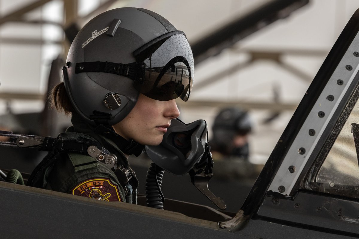 IntrepidTV tweet media