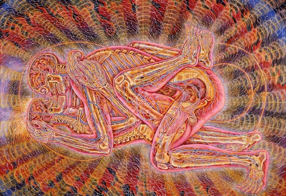 Galactic Shaman 🔮👁️ 3rd Eye Priestess tweet media