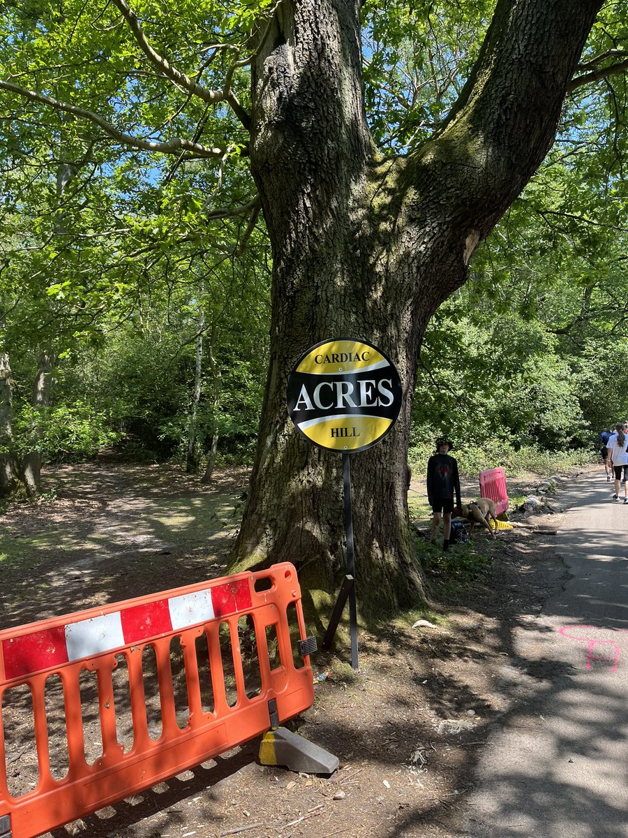 Shareen Juwle tweet media