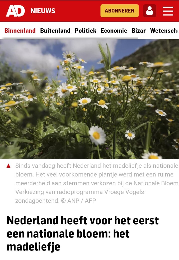stefvanwalsum's tweet photo. Nederland heeft voor het eerst een nationale bloem: het Madeliefje! 

En blijkbaar ook de Kamille want die staat op de leadfoto. Hee @ADnl, misschien even de Basiscursus flora van @FLORONNederland volgen? 😉 https://t.co/ZDF2RKDcKD https://t.co/ibigplEbZ7
