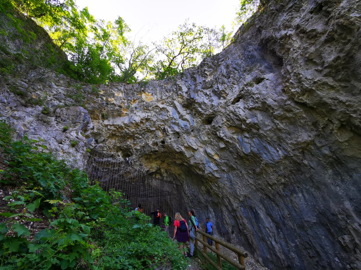Passend zum UNESCO Welterbetag war ich heute im Welterbe Achtal unterwegs und habe gleich drei Höhlen und ihre eiszeitlichen Funde entdeckt - das Geißenklösterle, die Sirgenstein Höhle und den Hohlen Fels.