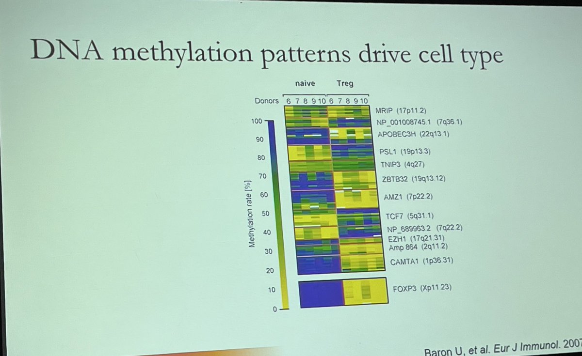 Joanna Schaenman MD PhD tweet media