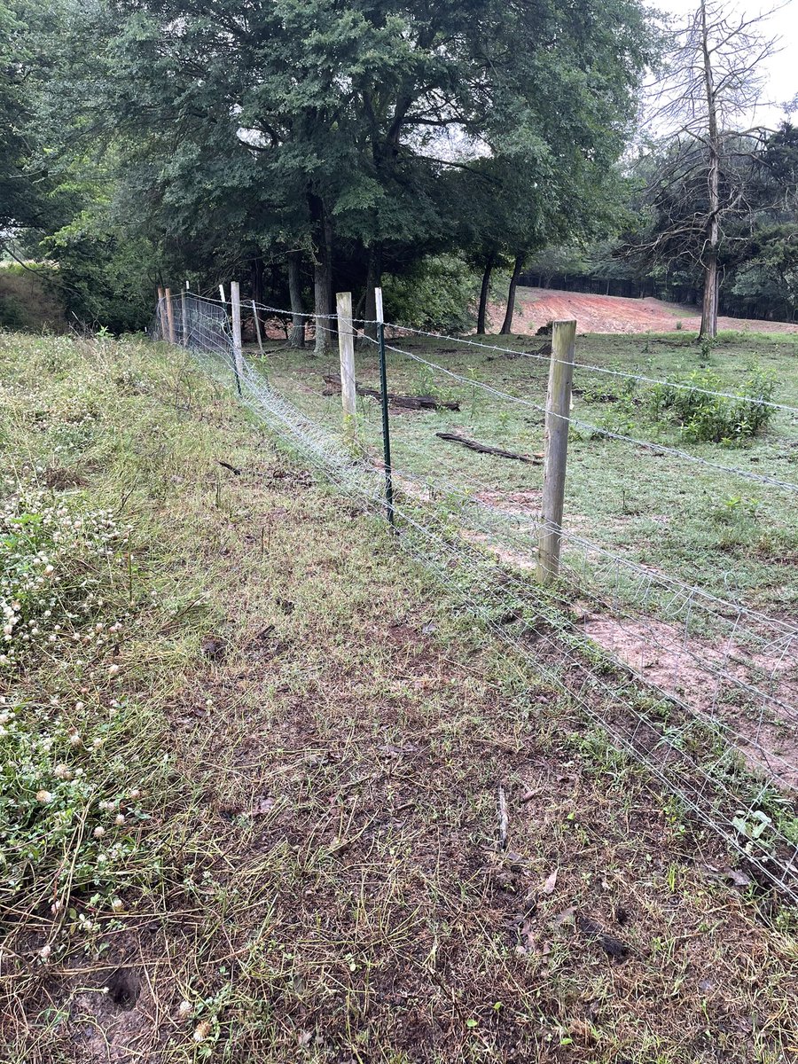 Good fences make good neighbors!! Neighbor’s cows trashed my fence last night!! Outstanding!! raftermcattle.net