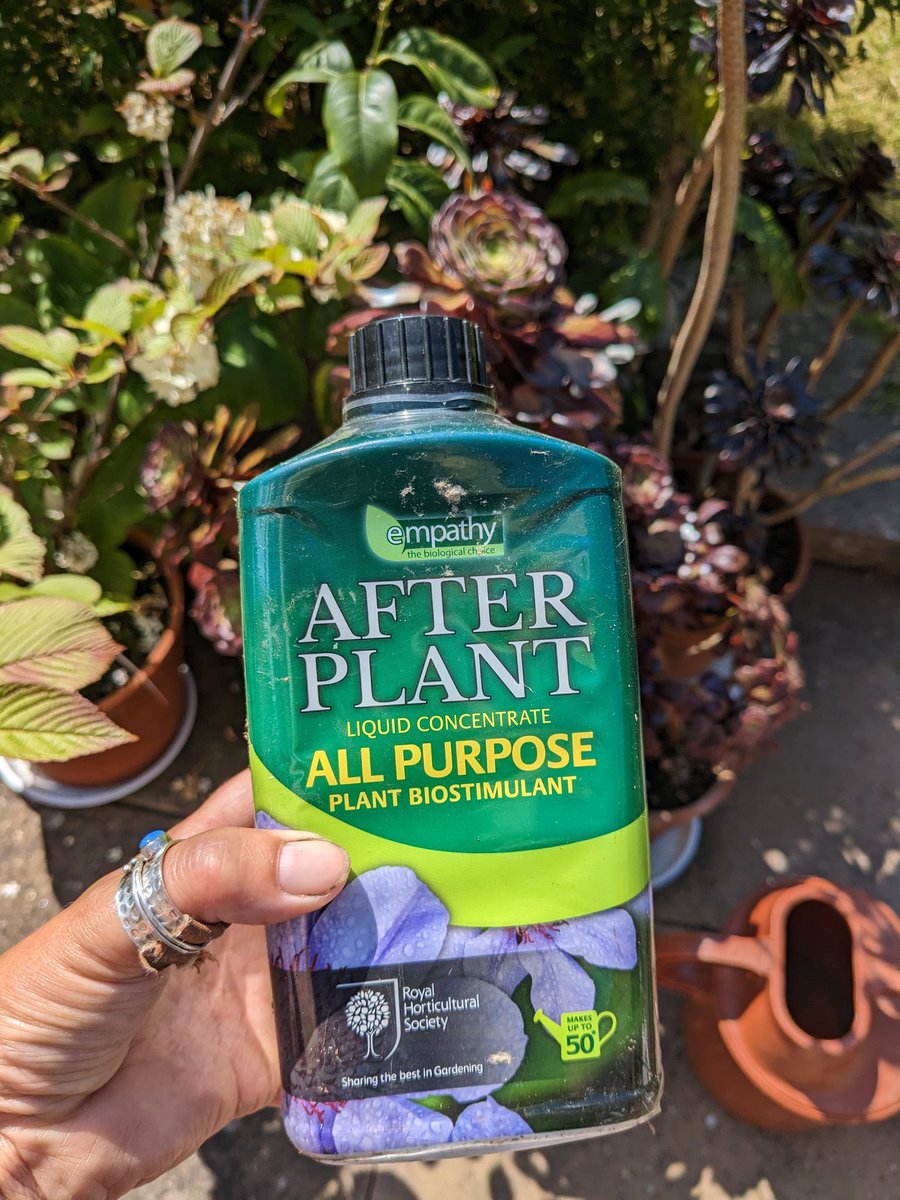 loujnicholls's tweet photo. Today i will be mostly feeding my plants 😍
Of all the organic feeds I've tried this is still my favourite
It contains liquid seaweed and a biostimulant and has all the trace elements plants need 🤗
@empathyrootgrow https://t.co/38YsrJn6E7