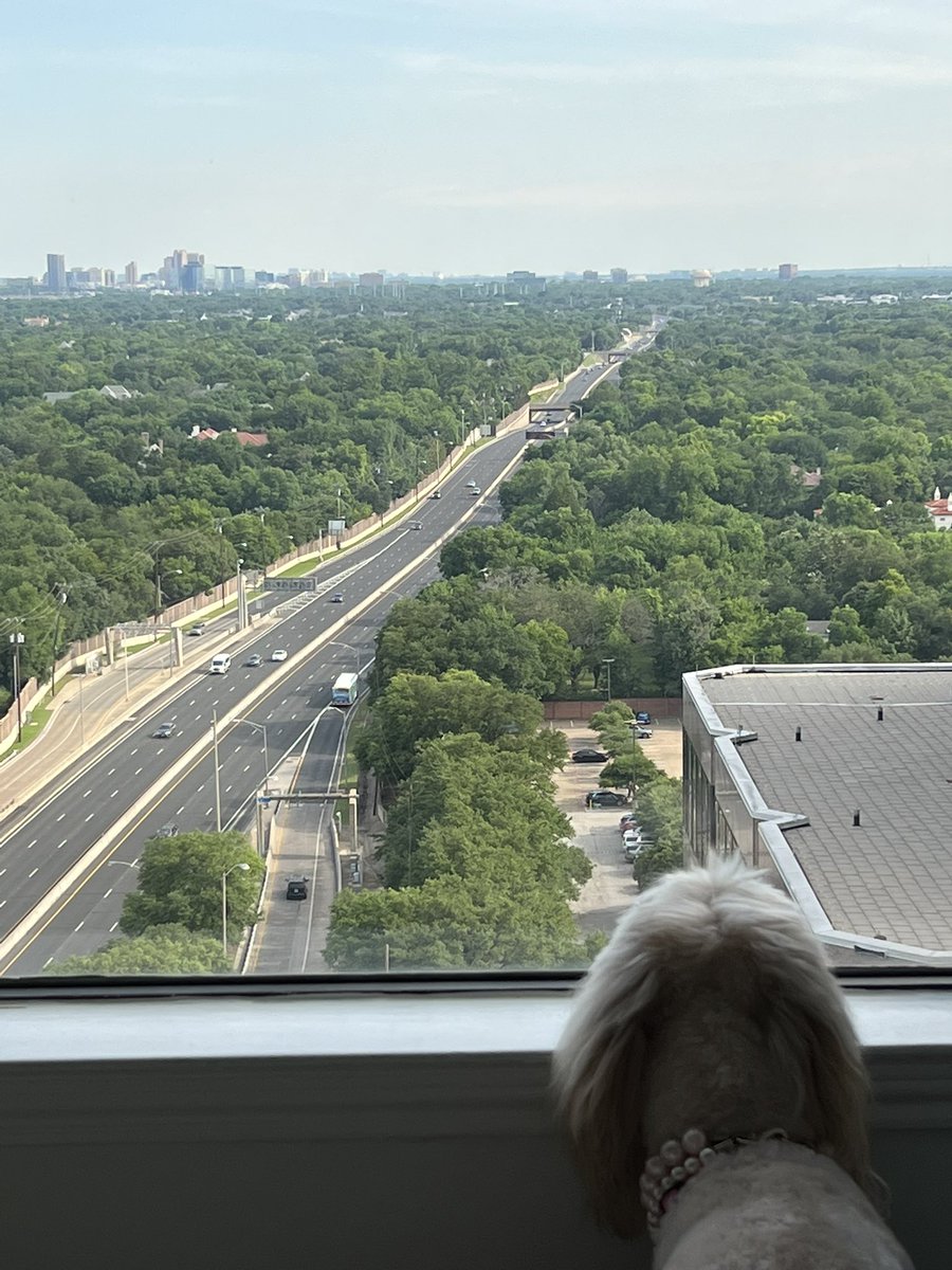 Chillin with a view…