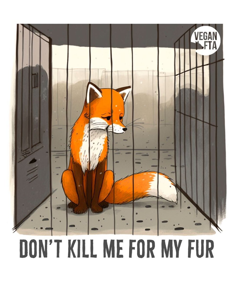 Fur is for keeping the animals warm, not humans. 💔

👉 Tell Roberto Cavalli to Drop Cruel Animal Fur Today: drove.com/.2Baq

#fur #furfree #animalrights #ethicalclothing #veganfashion #illustration