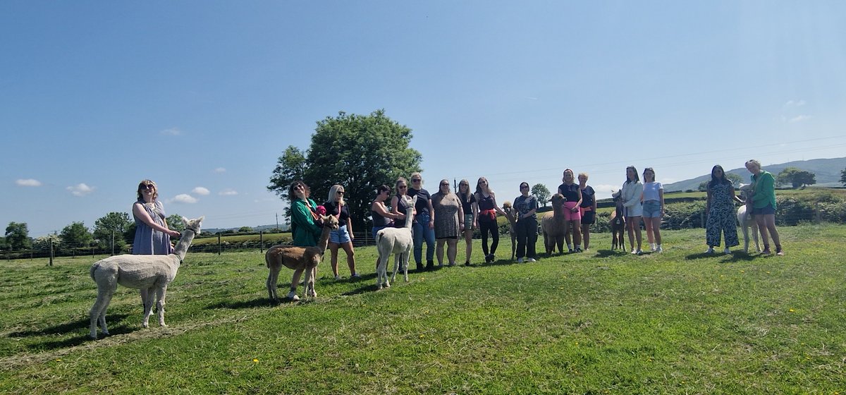 MourneAlpacas's tweet photo. https://t.co/iW2pYkl7Jr https://t.co/zjwZseNEB4