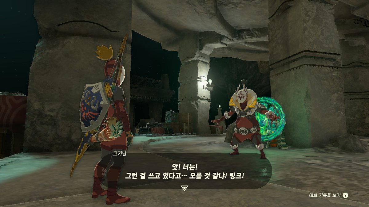 enviru_'s tweet image. #젤다의전설티어스오브더킹덤 #TearsOfTheKingdom #Zelda #NintendoSwitch
