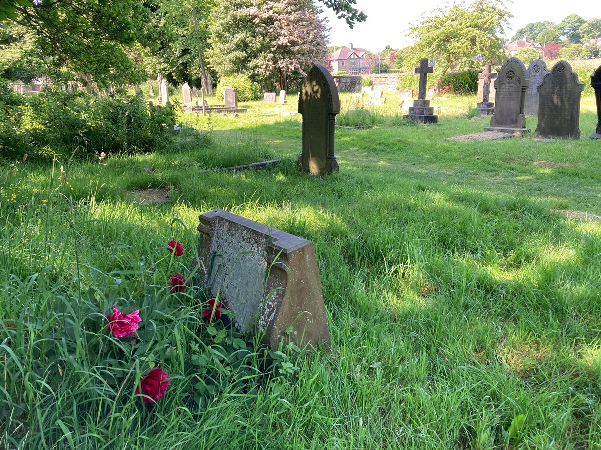 Amongst the buttercups in the churchyard we also have Californian poppies, the cuckoo flowers aka milk maids, daisies, forget-me-knots, geraniums, red campion,  a rhododendron bush and some peonies. Come take a look as you walk through.