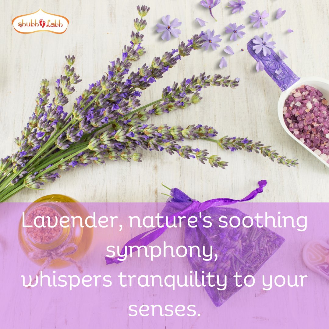 Enjoy soothing fragrance of lavender with lavender incense sticks
Contact now to buy:
☎ +917249580225
📩info@shubhlabhagarbatti.com
🌐shubhlabhagarbatti.com
#incensesticks #agarbatti #अगरबत्ती #worldwideexporter #premiumincensesticks #premiumproducts #lavenderincensestick