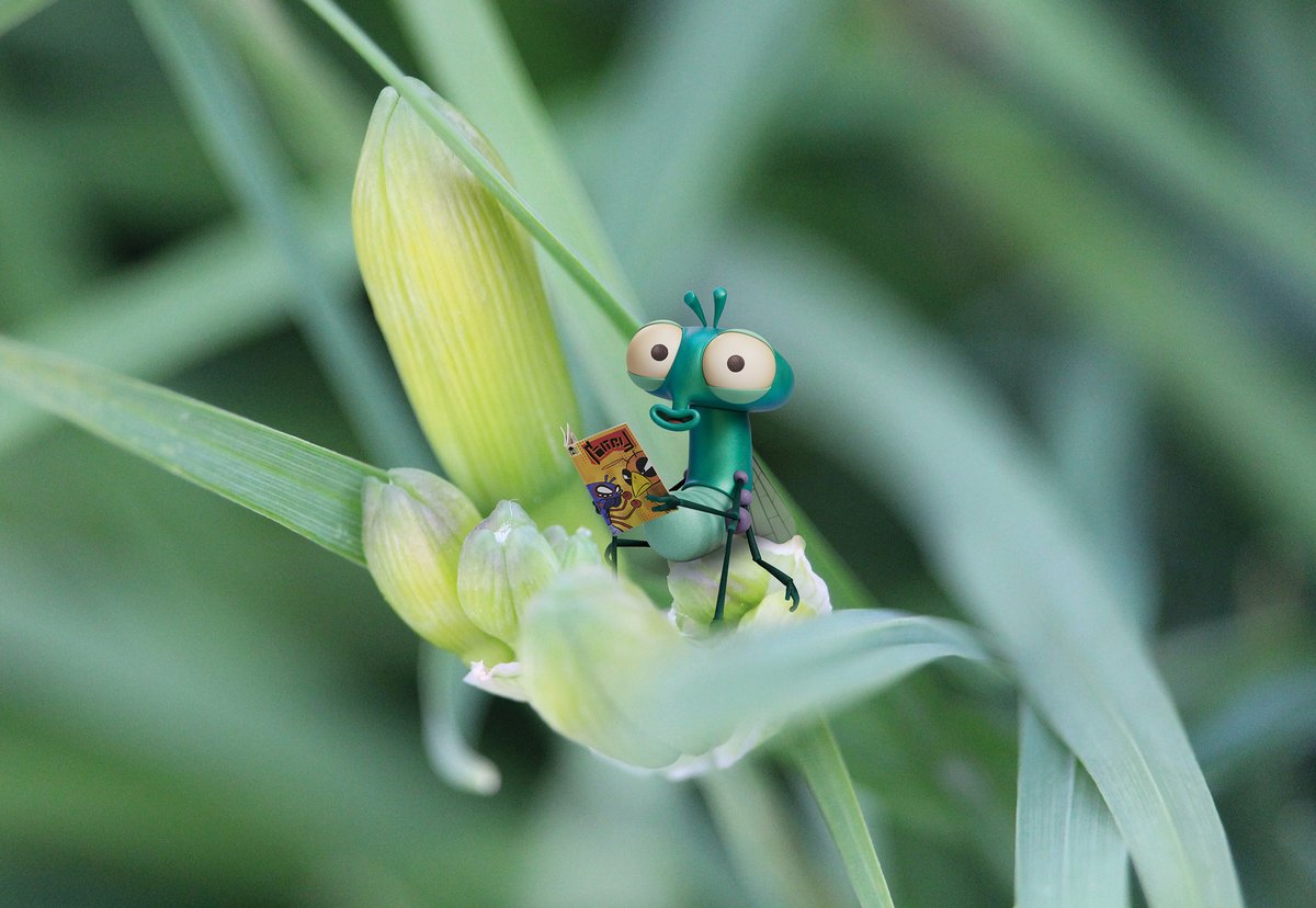 We're delighted to be partnering with <a href="/aardman/">Aardman</a> for a minibeast adventure on a grand scale this summer! 

Lloyd of the Flies is a brand-new comedy series from Aardman, and its hero Lloyd will be coming to our #RHSGardens as families join Lloyd on The Grand Bug &amp; Pest Hotel Hunt 🐛