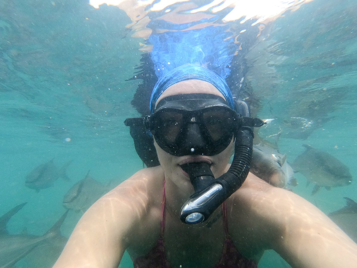 emilyseaside's tweet photo. What a week exploring sustainable offshore aquaculture in Central America with @BioMarGroup and @CSAquaculture. 💙

So much to share from this trip, but for now, just immense gratitude for this industry and the passionate people I am blessed to work with. https://t.co/r6JBeWbwPH