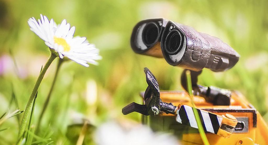 Yippee! Summer STEM Camps Begin Tomorrow! - mailchi.mp/siliconstemaca…