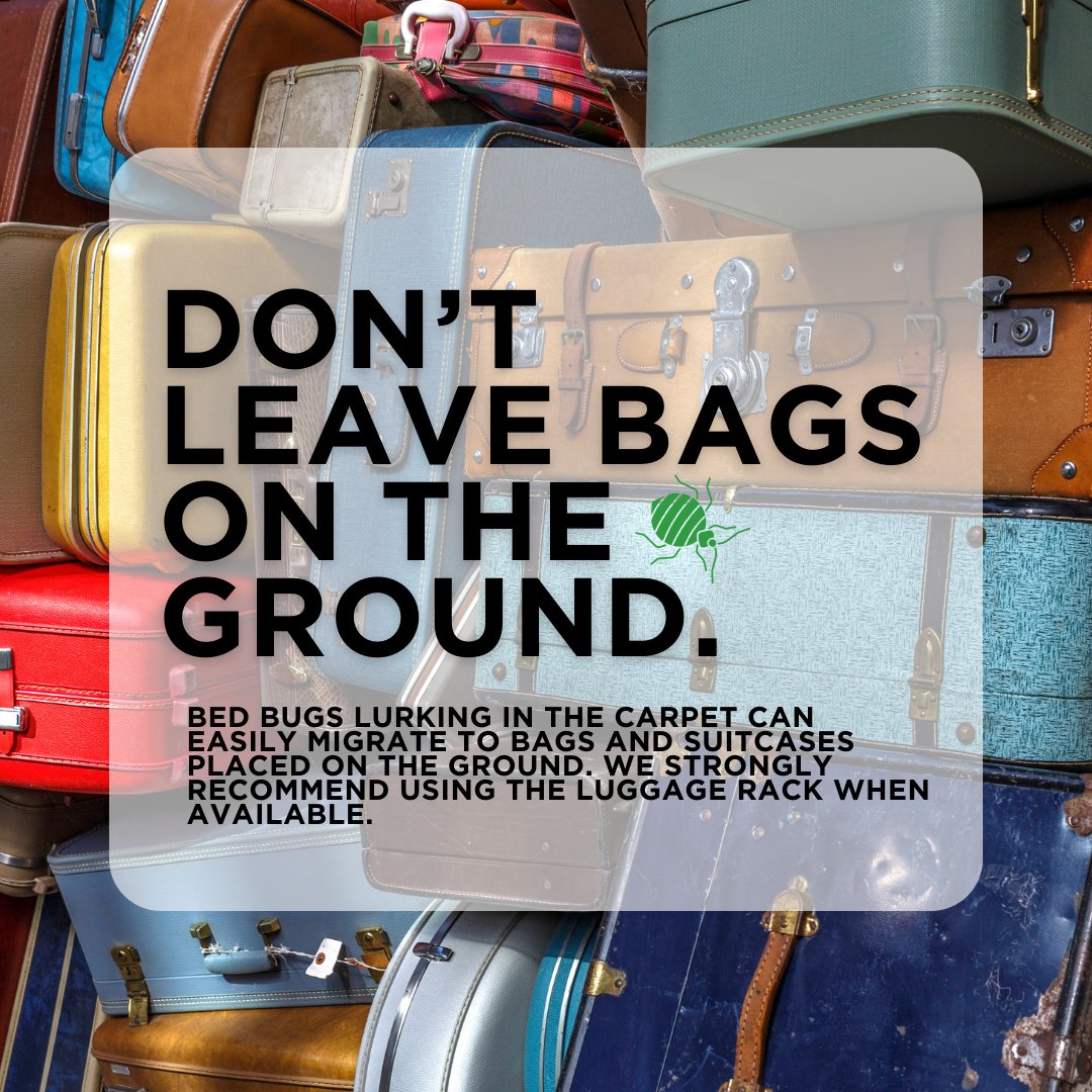 TrustTerminix's tweet image. Even the cleanest, tidiest, most cautious individuals can find their homes beset by bed bugs. It doesn’t mean you’ve been negligent; they’re an especially pernicious pest. You can do everything right, and bed bugs will still outmaneuver you. #TrustTerminix #bedbugawarenessweek