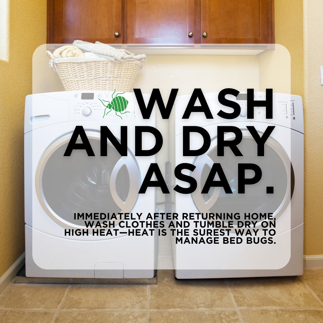 TrustTerminix's tweet image. Even the cleanest, tidiest, most cautious individuals can find their homes beset by bed bugs. It doesn’t mean you’ve been negligent; they’re an especially pernicious pest. You can do everything right, and bed bugs will still outmaneuver you. #TrustTerminix #bedbugawarenessweek