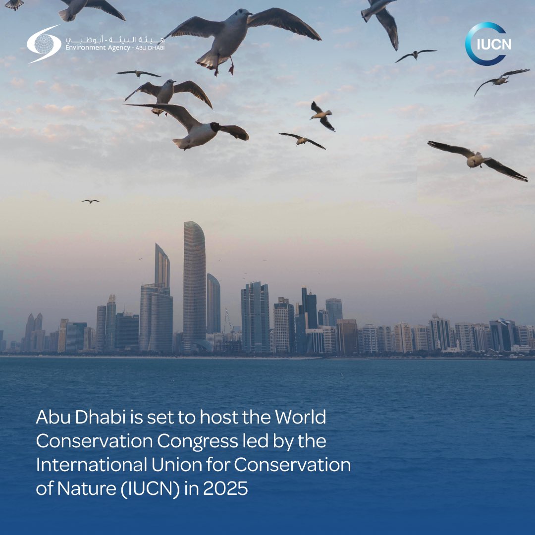 مكتب أبوظبي الإعلامي on Twitter "Following a successful bid for the