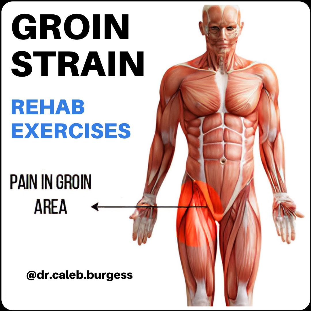 Cardio Arena On Twitter RT The Life Pad Pain In Groin Area Open This cardio-arena-on-twitter-rt-the-life-pad-pain-in-groin-area-open-this