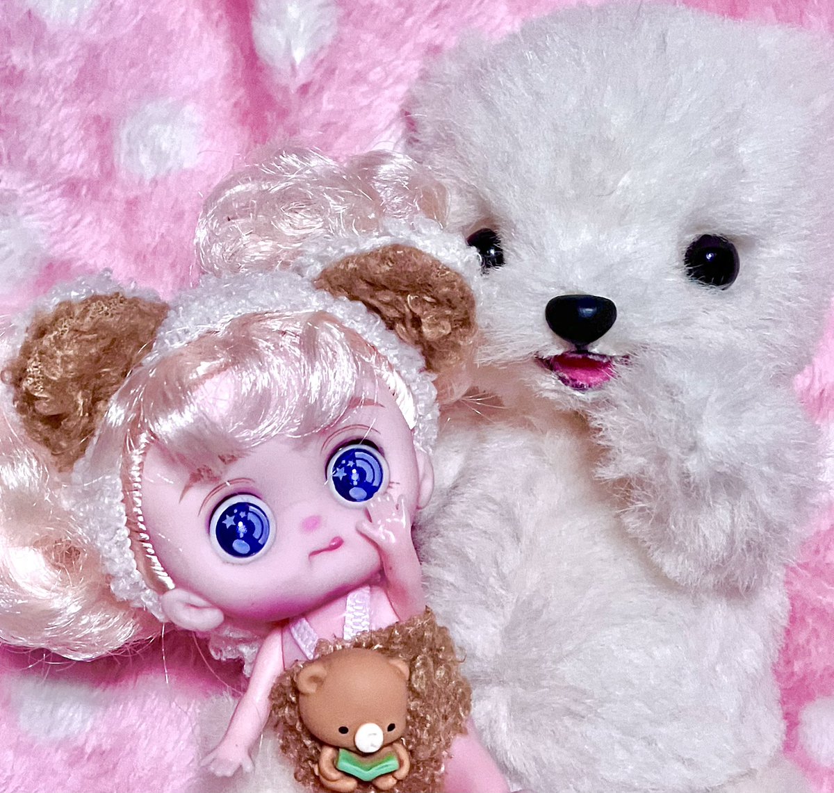 クマちゃん - Search / X