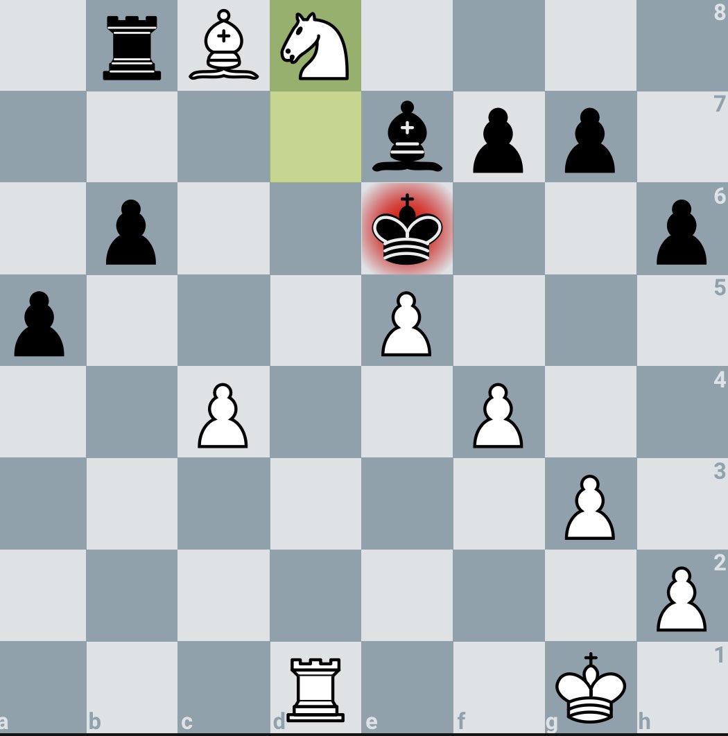 The highlight of my tournament was definitely this d8=N round 4 mate. #chesspunks