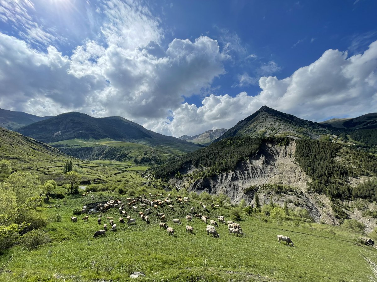 Perdiéndome en la belleza de la naturaleza 🌳🍃 Cerler (Huesca) @HimarGonzalez #paisaje #meteo