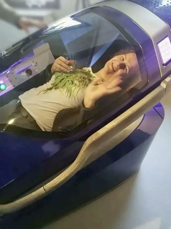 Assisted suicide pod approved for use in Switzerland. At the push of a button, the pod becomes filled with nitrogen gas, which rapidly lowers oxygen levels, causing its user to die.