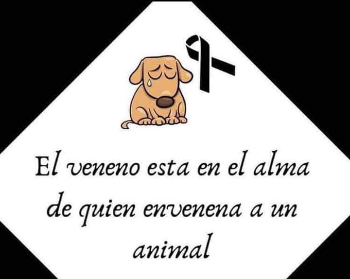 Mucha gente vacía de corazón, descarga su coraje con ellos, no tienen nombre.