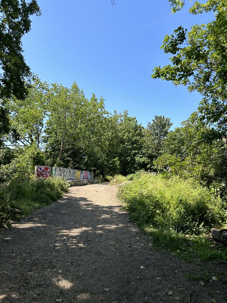 macdarabueller's tweet image. A walk from Finsbury Park to Highgate Wood and I’m back watching some cricket. This is a level of the game where a #backstop has been deployed on the boundary behind the wicketkeeper.